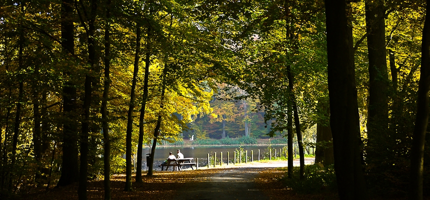 waldweg